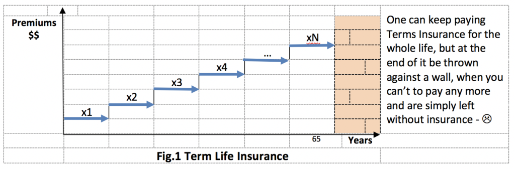 LifeOne® Life Insurance